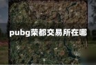 pubg荣都交易所在哪_资源爱好者手机游戏