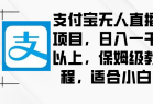 支付宝无人直播项目，日入一千以上，保姆级教程，适合小白