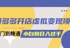 拼多多开店虚拟变现项目：入门到精通 从小白到日入1000（完整版）6月14更新