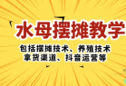 水母·摆摊教学，包括摆摊技术、养殖技术、拿货渠道、抖音运营等