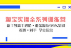 淘宝实战宝典+淘系全系列进阶，初级到进阶，覆盖淘系99%的知识，看透对手自然会运营