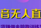 抖音无人直播带货赚佣金陪跑训练营，价值6980元